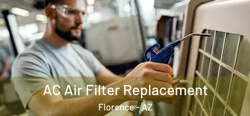  AC Air Filter Replacement Florence - AZ