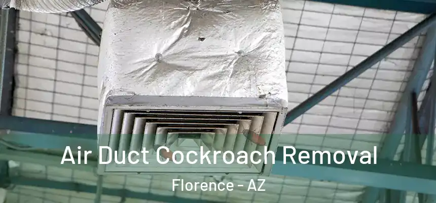 Air Duct Cockroach Removal Florence - AZ
