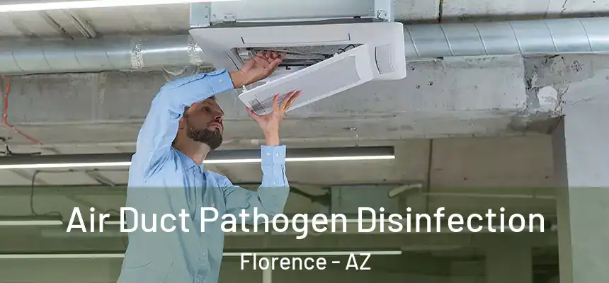 Air Duct Pathogen Disinfection Florence - AZ