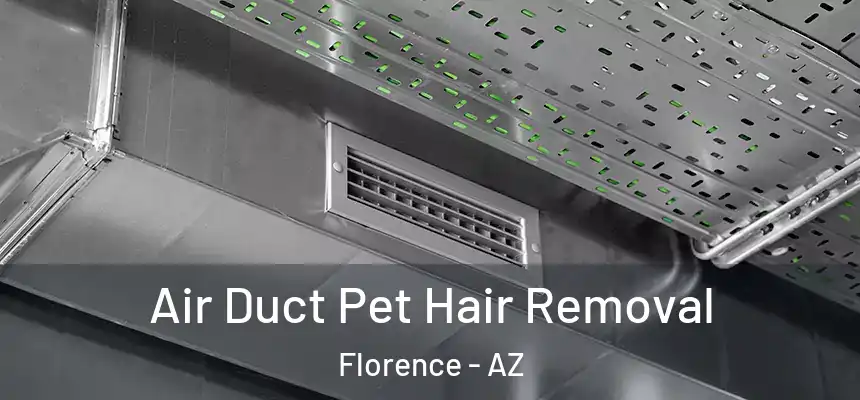  Air Duct Pet Hair Removal Florence - AZ