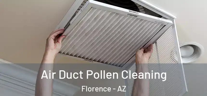Air Duct Pollen Cleaning Florence - AZ