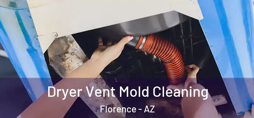  Dryer Vent Mold Cleaning Florence - AZ