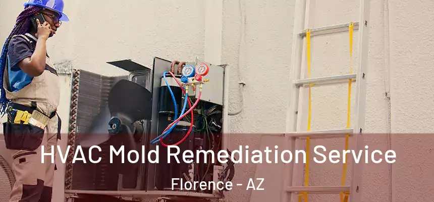 HVAC Mold Remediation Service Florence - AZ