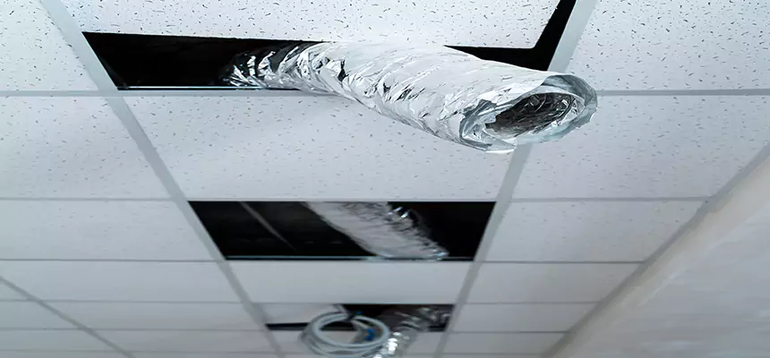 Our Air Duct Pet Hair Removal Services in Florence, AZ