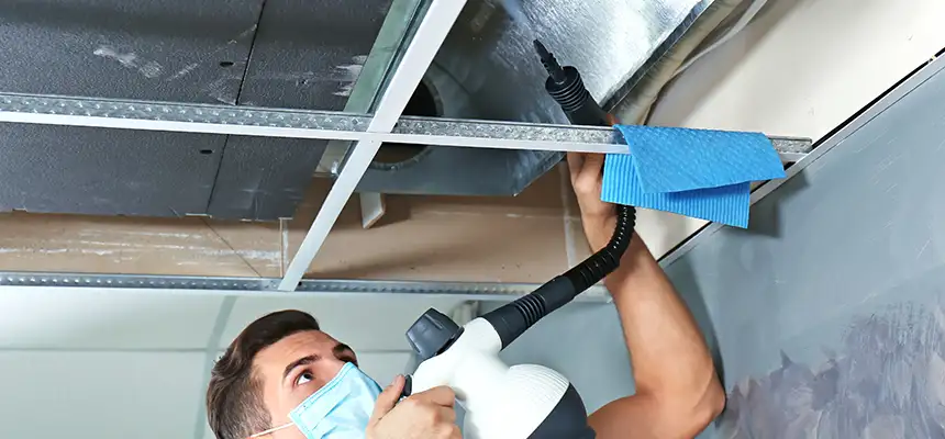 Our Air Duct Rodent Removal Services in Florence, AZ