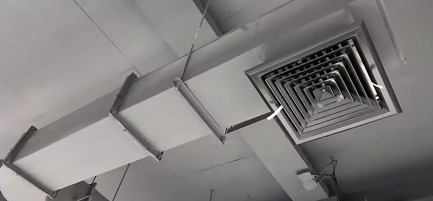 Our Pest Removal From Ducts Services in Florence, AZ