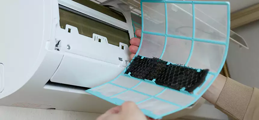 Gentle Ductwork Odor-Control Pet Dander Duct Cleaning in Florence, AZ