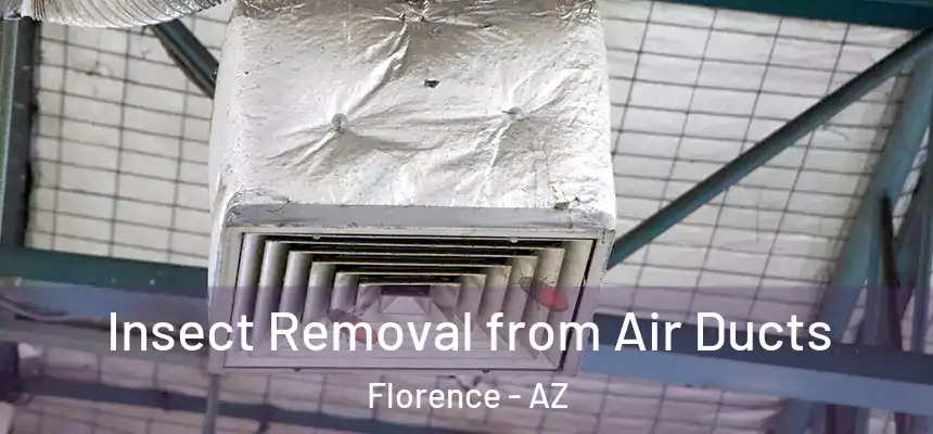 Insect Removal from Air Ducts Florence - AZ