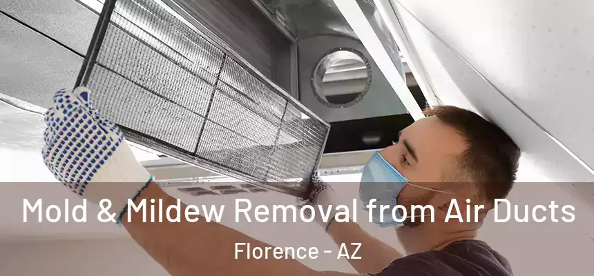  Mold & Mildew Removal from Air Ducts Florence - AZ