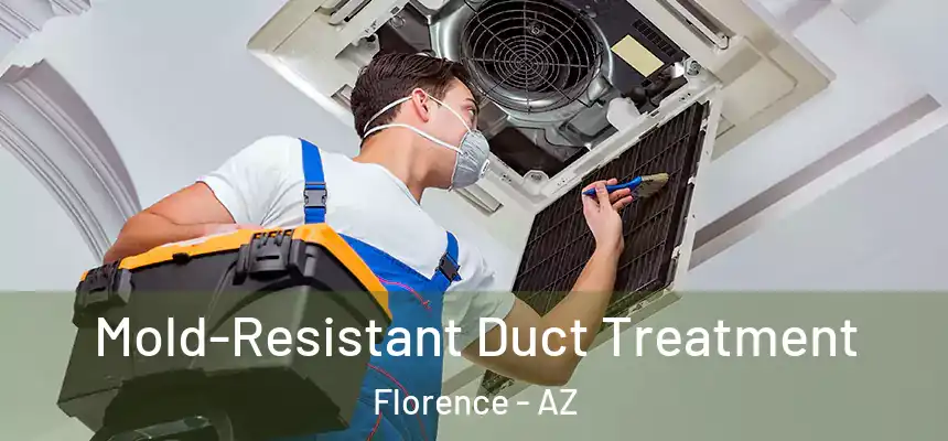 Mold-Resistant Duct Treatment Florence - AZ