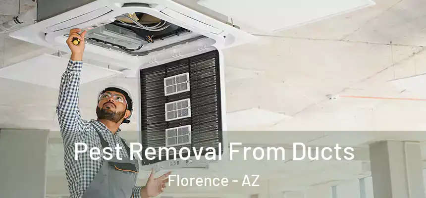 Pest Removal From Ducts Florence - AZ