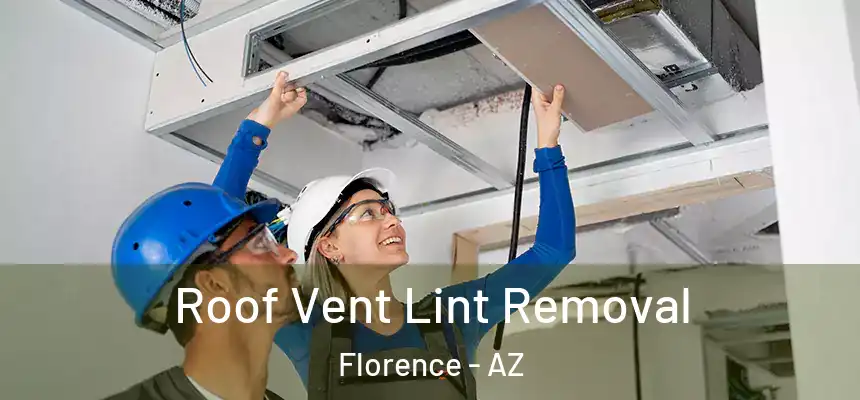  Roof Vent Lint Removal Florence - AZ