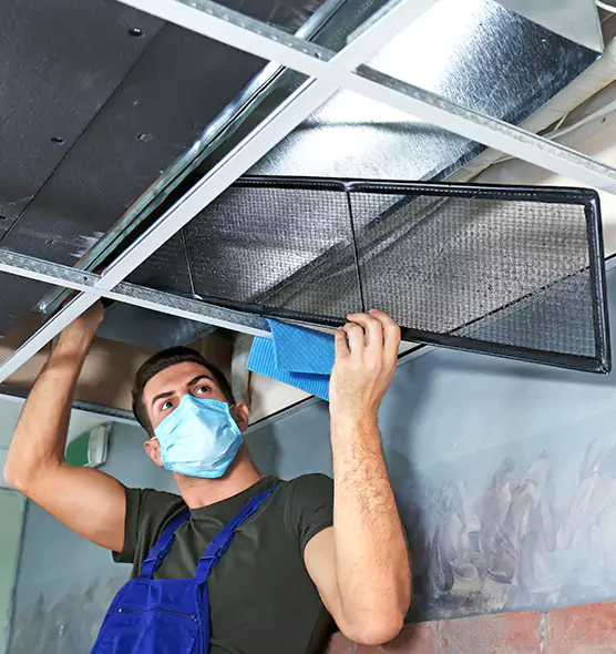 About Air Duct Bacteria Removal in Florence