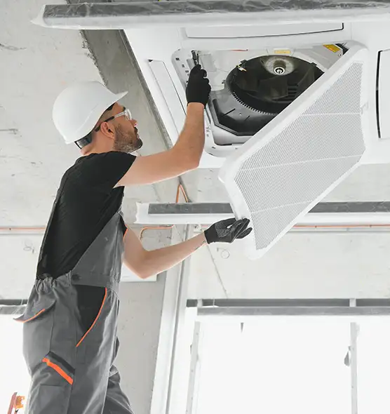 About Air Duct Rodent Removal in Florence, AZ