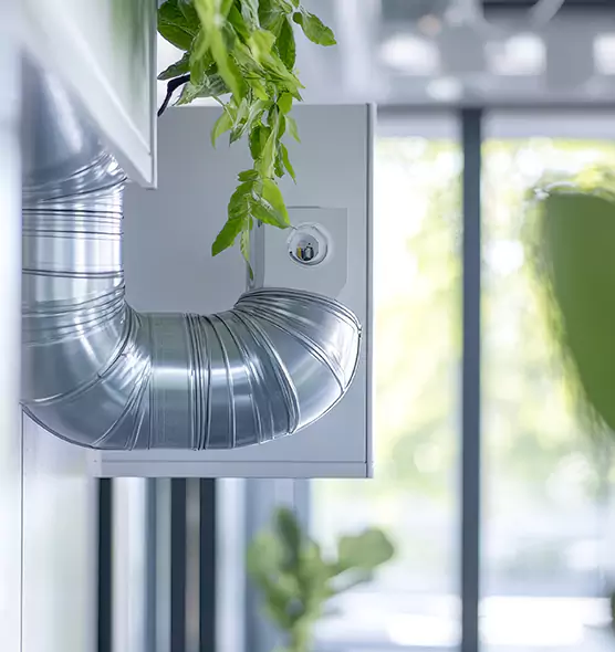 Professional Eco-Friendly Duct Cleaning Services in Florence, AZ