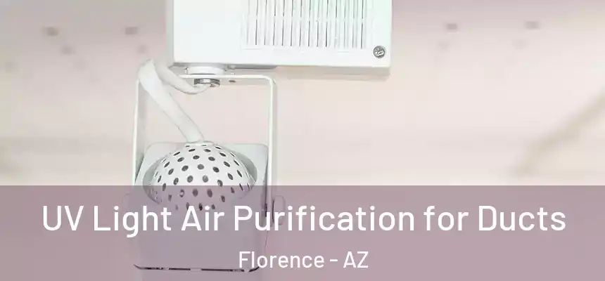  UV Light Air Purification for Ducts Florence - AZ
